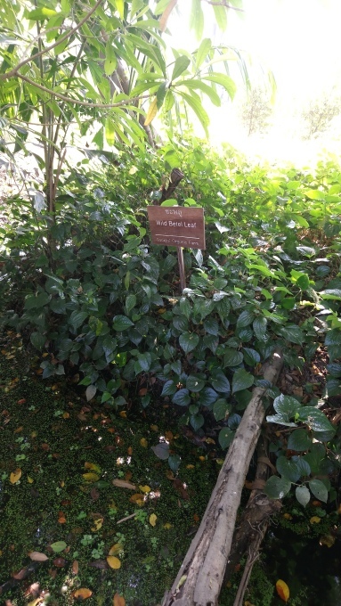 d0229095_14015950.jpg