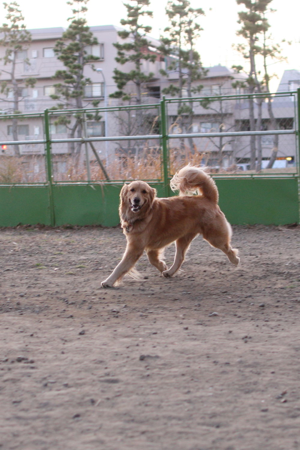 おむすびころりん♪_b0275998_10550930.jpg