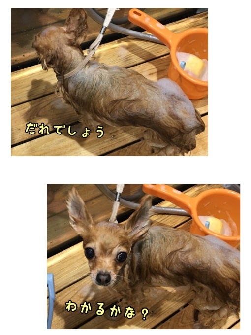 d0269898_18544513.jpeg