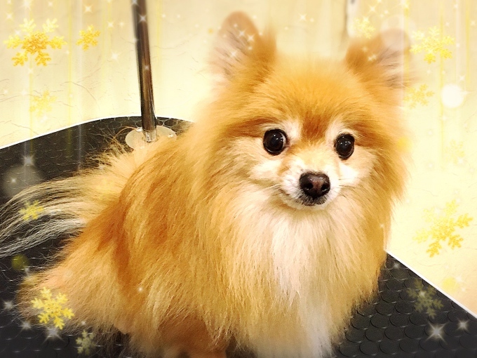 d0269898_18553723.jpeg