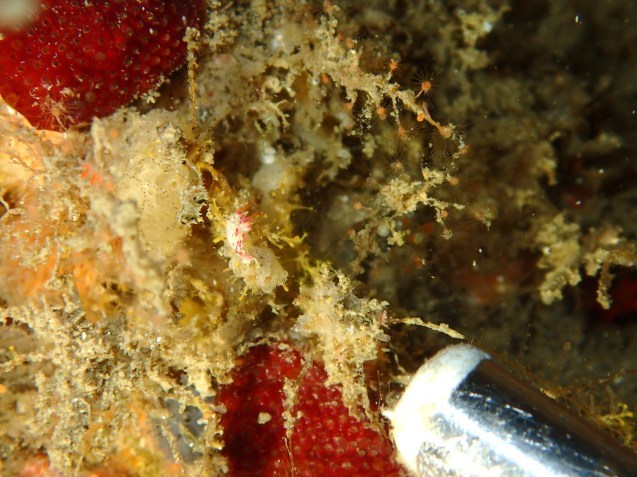 e0115199_13363945.jpg