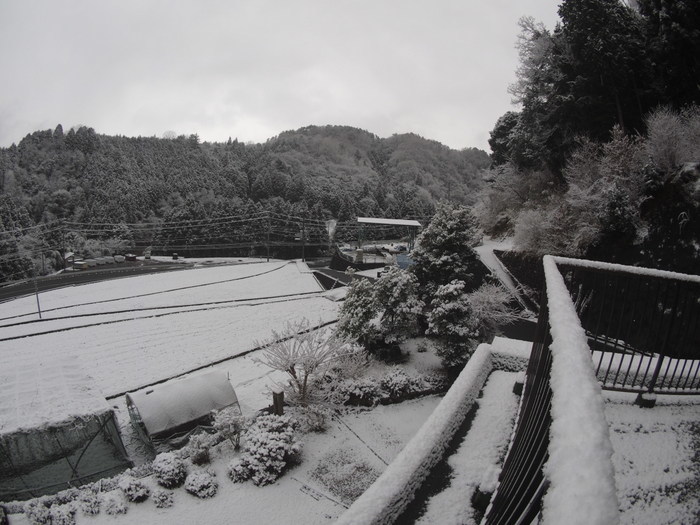 今朝は雪景色_c0116915_22515713.jpg