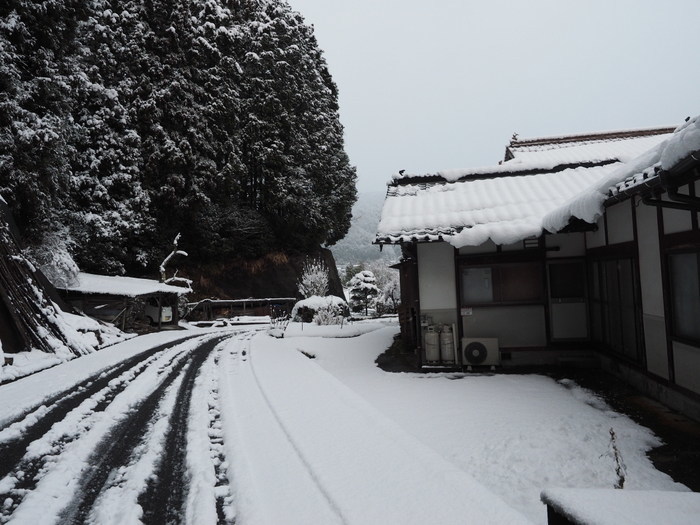 夕方の雪景色と雪かき_c0116915_23040161.jpg
