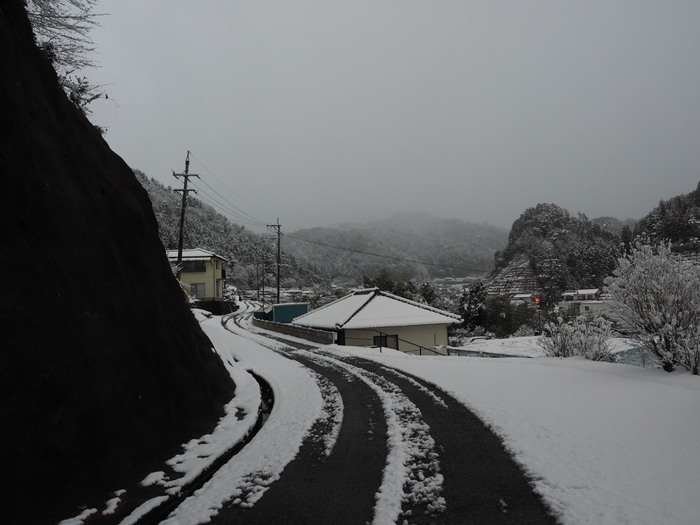 夕方の雪景色と雪かき_c0116915_23041453.jpg