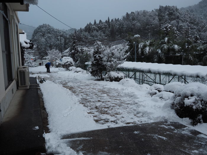 夕方の雪景色と雪かき_c0116915_23053937.jpg
