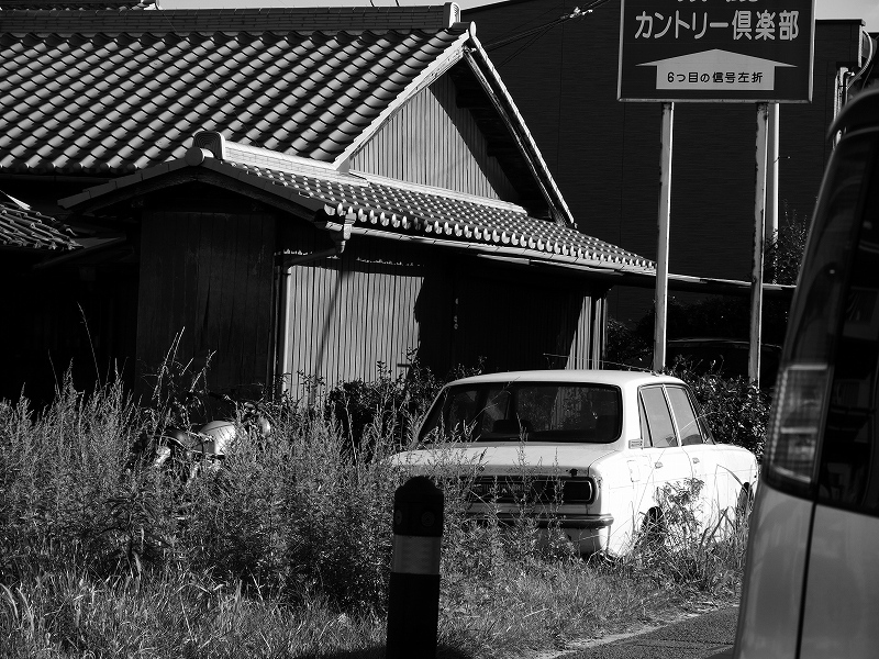 お元気ですか_e0374932_07104774.jpg