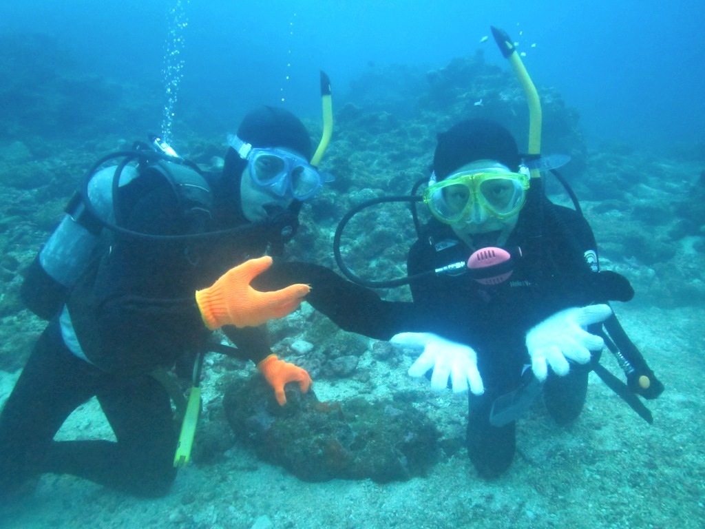 DIVE & RUN !!_a0189838_22443011.jpg