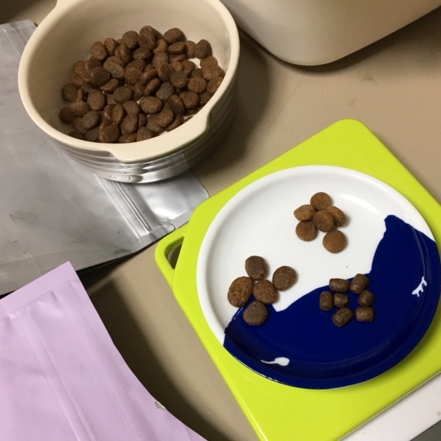 f0372445_18370426.jpeg
