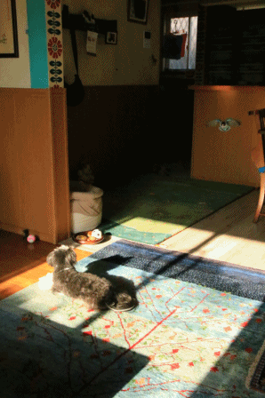 c0145250_10521406.gif