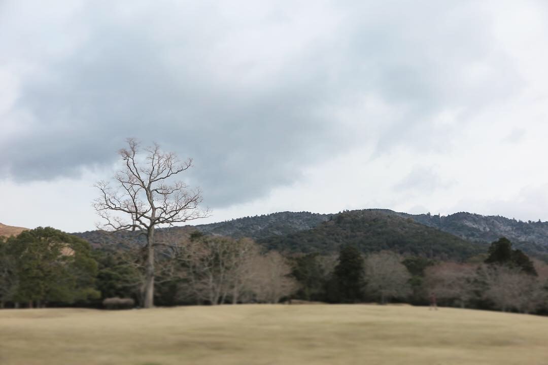 f0389753_17530135.jpeg