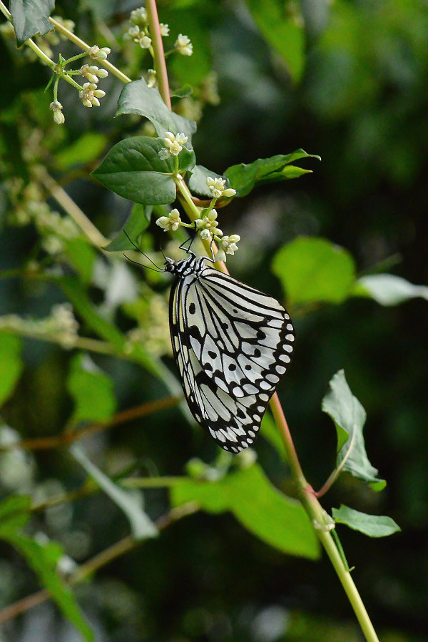 d0387460_22424205.jpg
