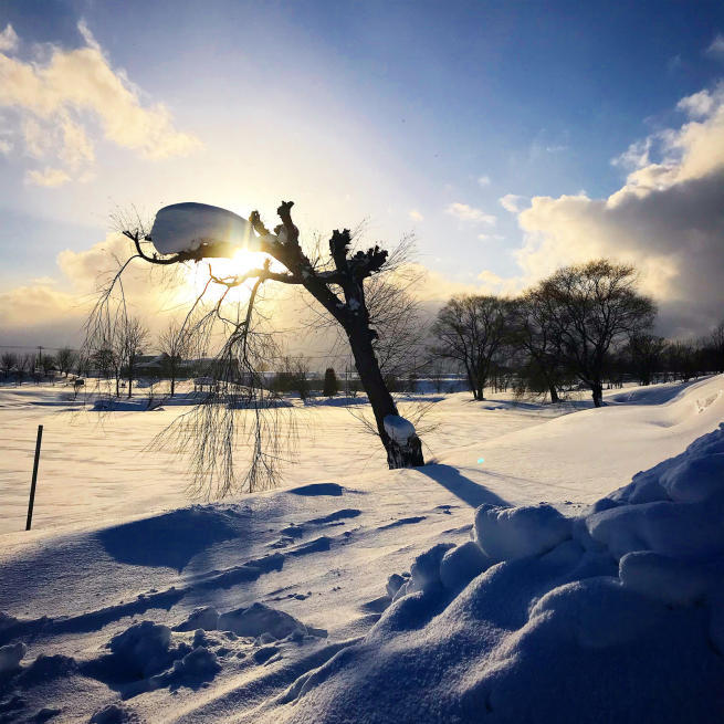 2019年BBQonICE_d0197762_17363769.jpg