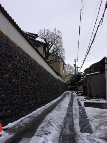 d0018868_13531114.jpeg