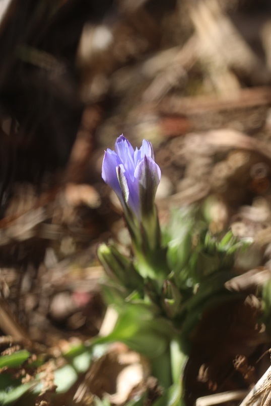 e0304170_18260796.jpg