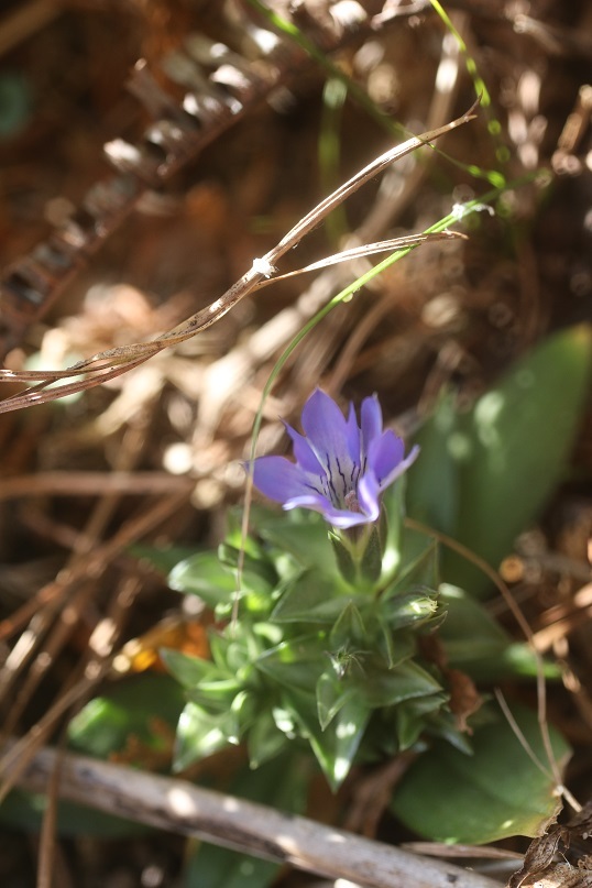e0304170_18263623.jpg