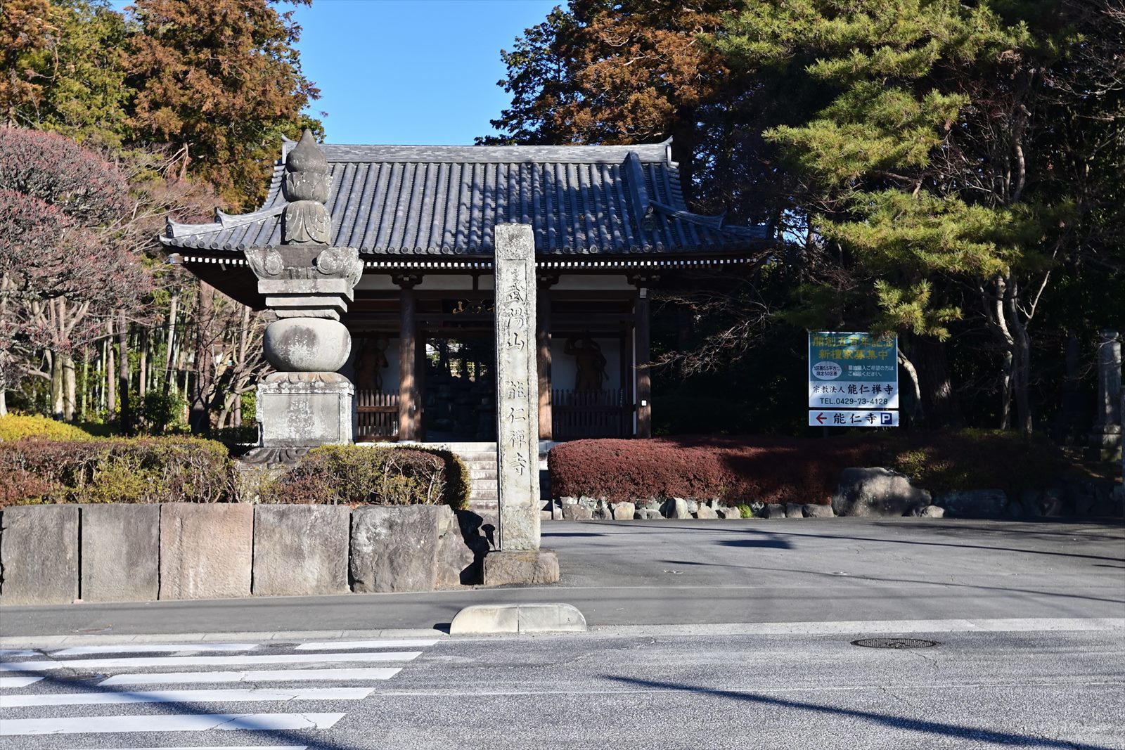 天覧山 多峯主山 飯能中央公園からの周回コース 野の花山の花ウォッチング In 奥多摩