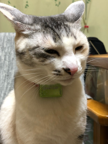 我が家最大の事件( ノД`) _e0355177_16154211.jpg