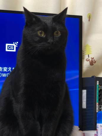 我が家最大の事件( ノД`) _e0355177_16162522.jpg