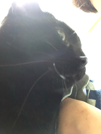 謎の残る事件( ノД`)_e0355177_17022862.jpg
