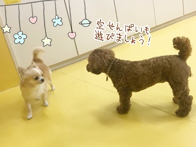 今日は雪やら地震やら雷やら…_f0357682_16033072.jpg