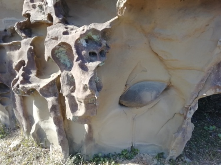 c0212083_15515658.jpg