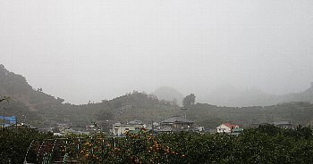 f0003283_16530346.jpg