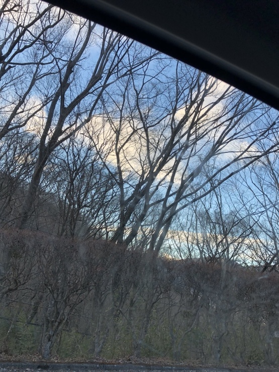 2019年1月26日   熱海 川崎 御殿場 箱根 熱海_b0098584_19204599.jpeg