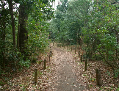 b0123486_09035378.jpg