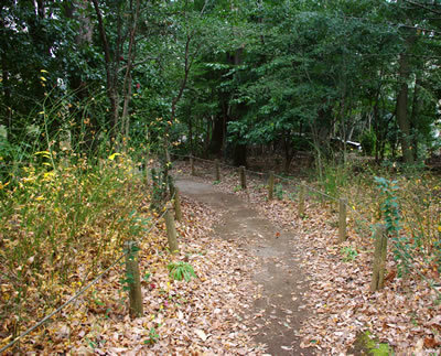 b0123486_09075494.jpg