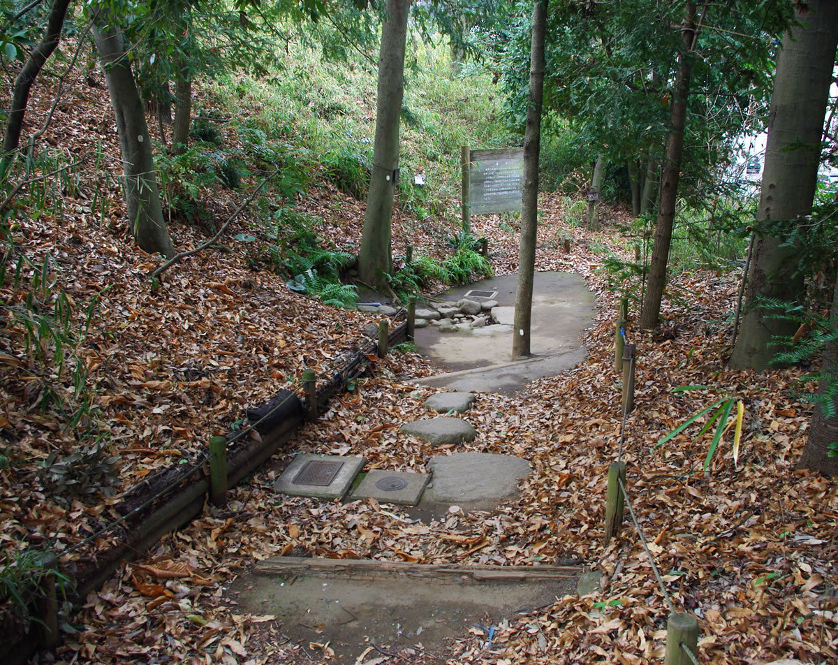b0123486_11151664.jpg