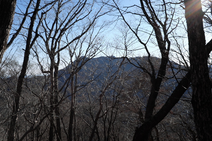 b0339488_22315820.jpg