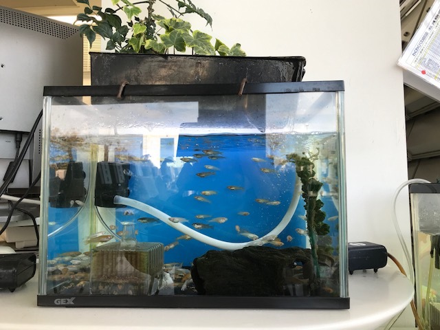 2月休園日のご案内_b0263390_15292276.jpg