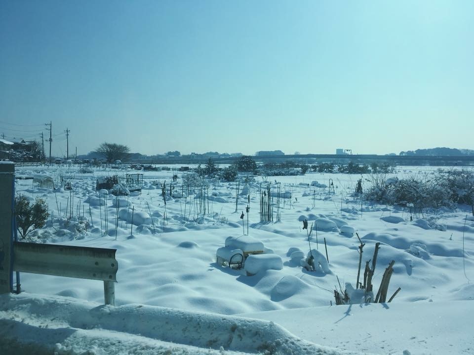 a0129492_09344602.jpeg