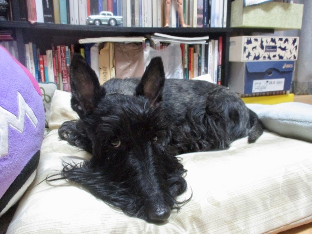 a0091796_20391272.jpeg