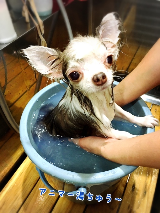 d0269898_11051749.jpeg