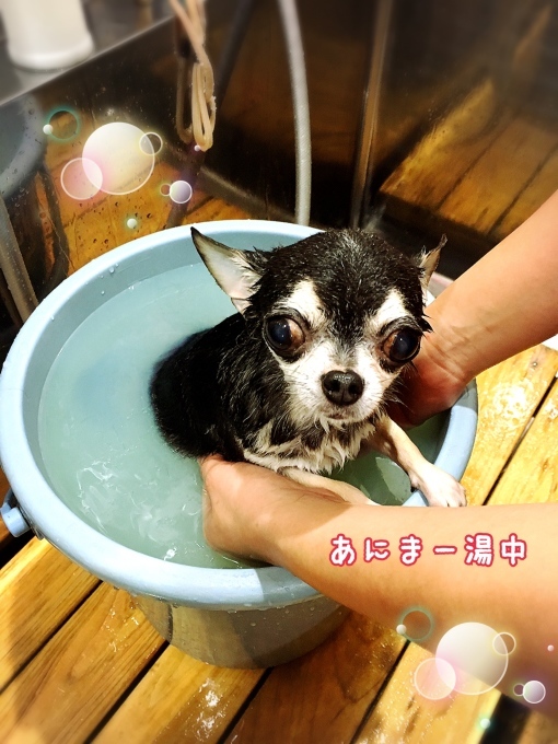 d0269898_11052879.jpeg