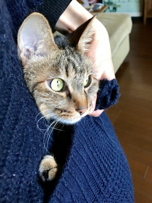 c0362401_12041776.jpeg