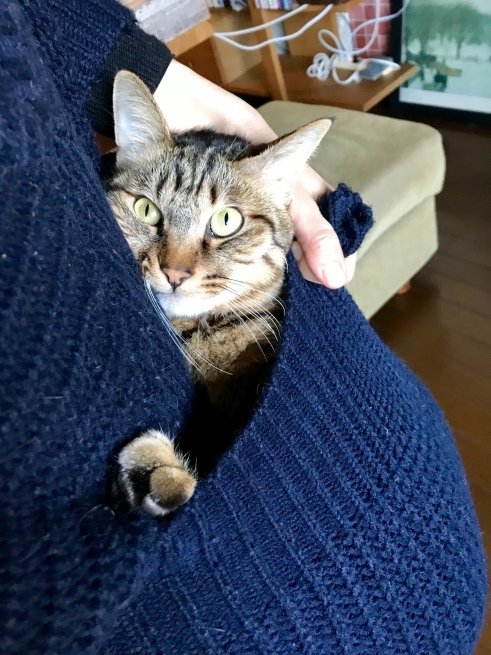 c0362401_12044463.jpeg