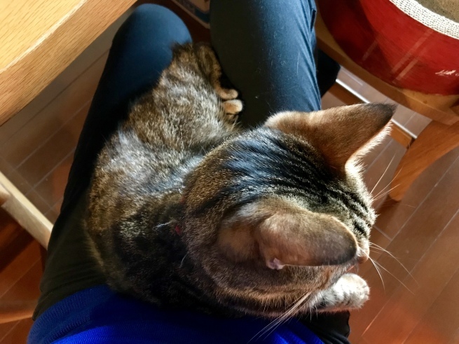 c0362401_12440707.jpeg