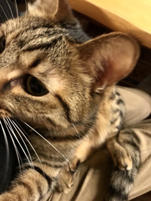 c0362401_12443664.jpeg