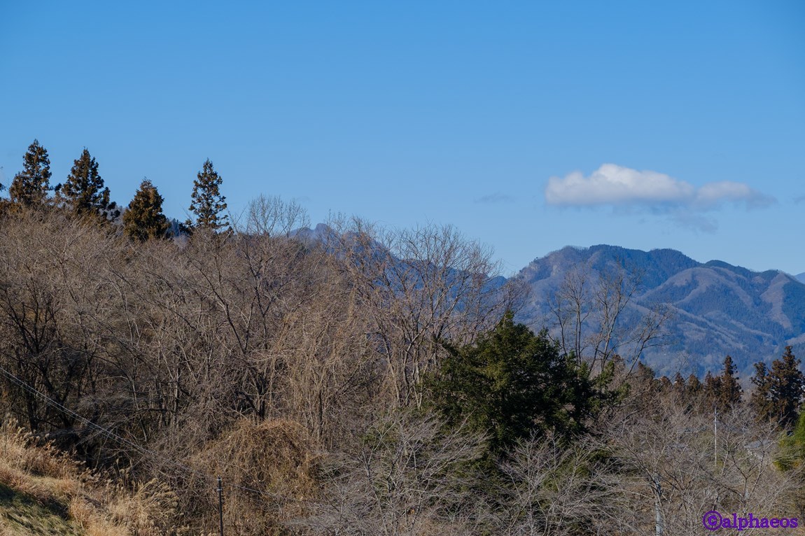 2019年1月24日　小鹿野町散策_a0060403_13245791.jpg