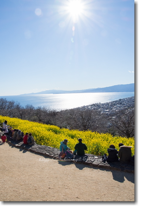 吾妻山公園の春_f0356904_21320637.jpg