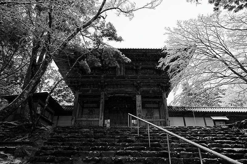 f0032011_21432390.jpg