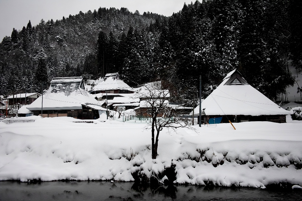 雪の朝 小島一谿(一渓)の掛け軸 雪の朝 小島一谿(一渓)の掛け軸