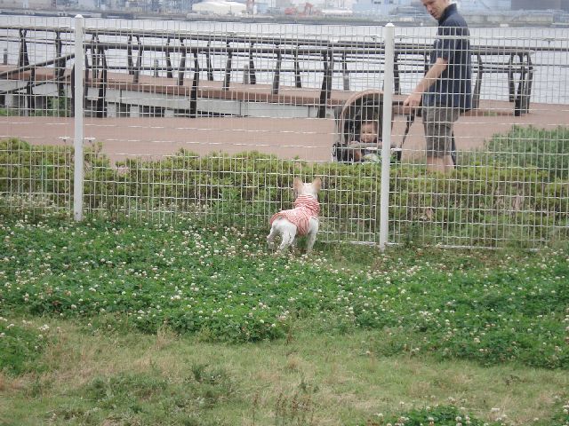 d0380237_08112000.jpg
