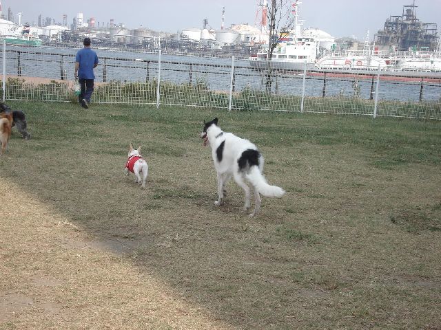d0380237_08180134.jpg