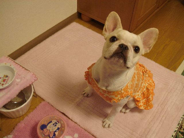 d0380237_09015164.jpg