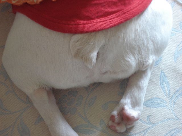 d0380237_09260061.jpg