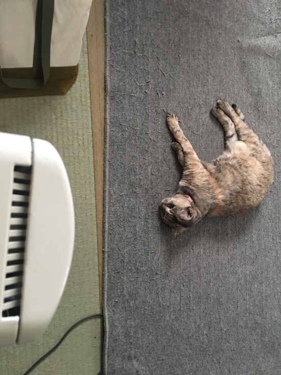 寝ずの番ではなく、寝ながら番_b0060239_12055042.jpeg
