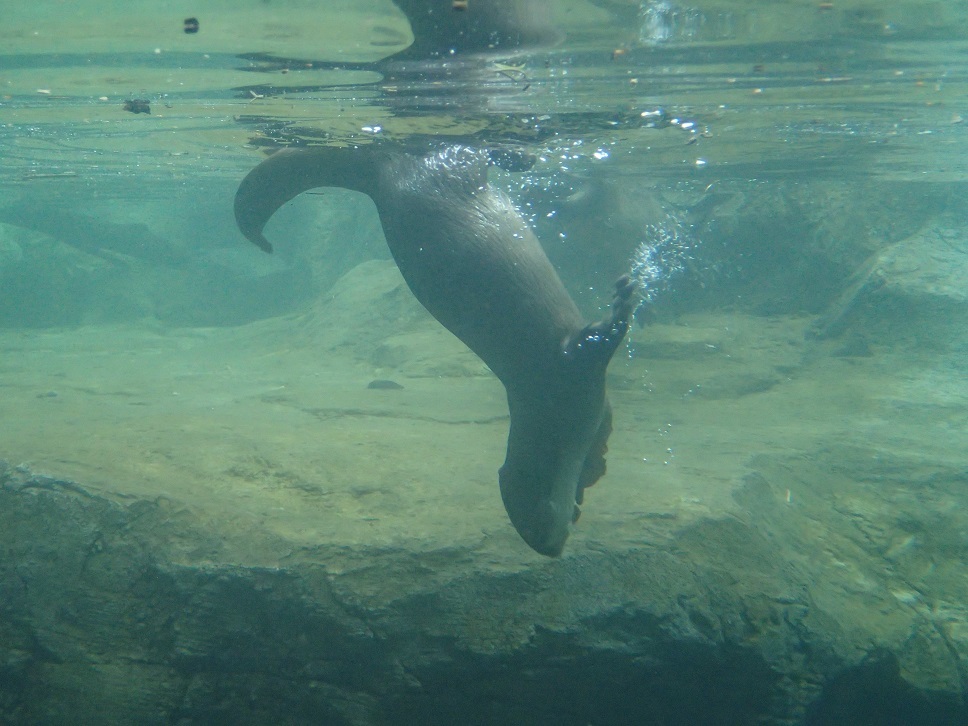 e0128144_05431085.jpg